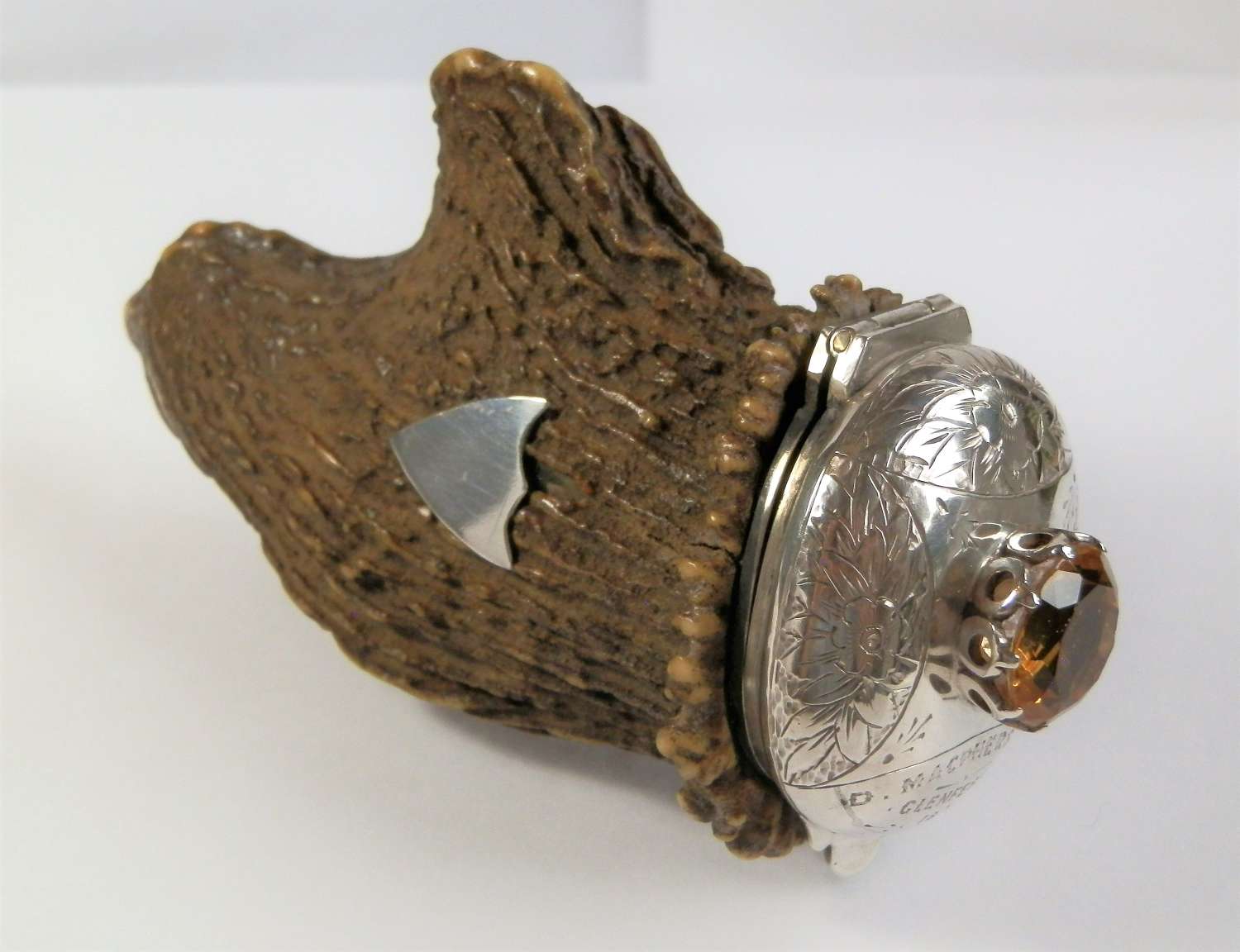 Victorian Scottish silver and deer antler snuff mull.    c 1874